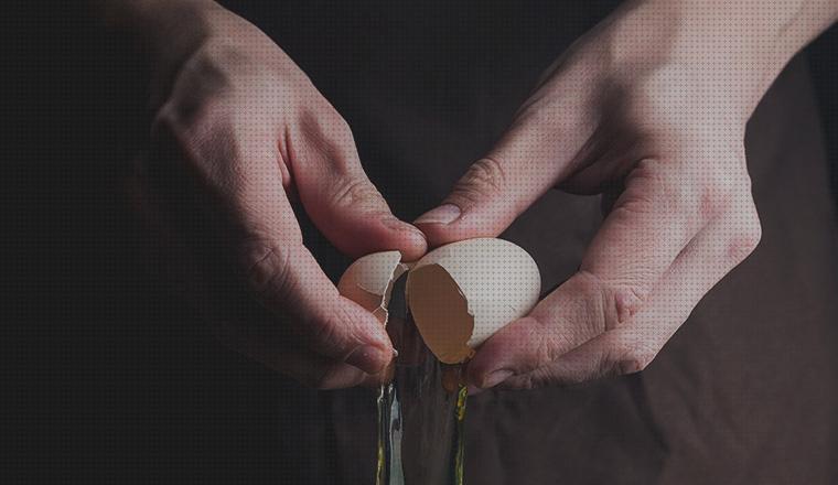 Las mejores marcas de campana extractora huevo